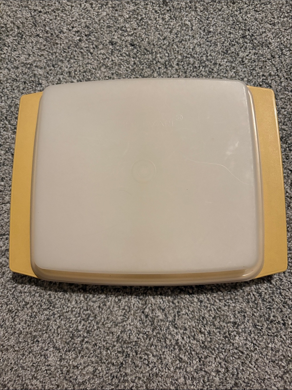Vintage Tupperware Deviled Egg Storage Travel Container